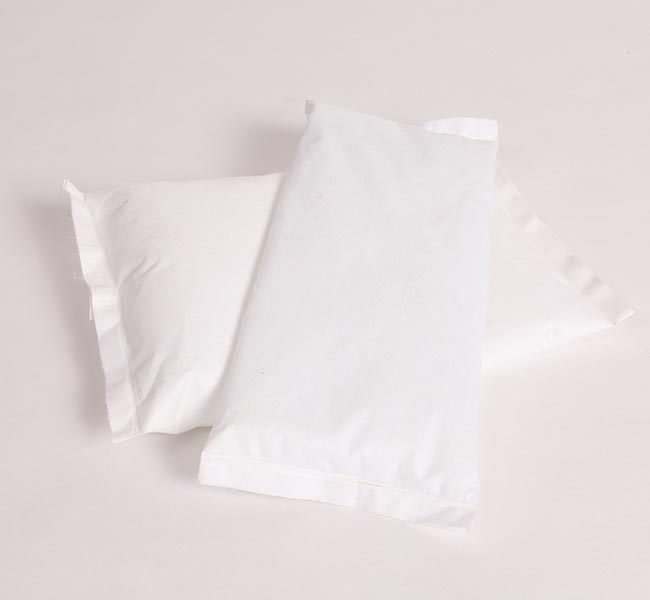 Ice Packs (2)
